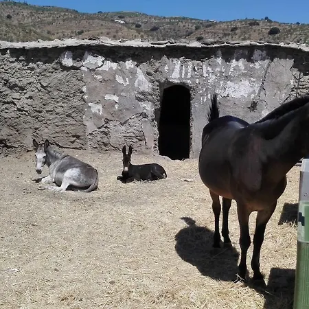 Joya En La Alpujarra